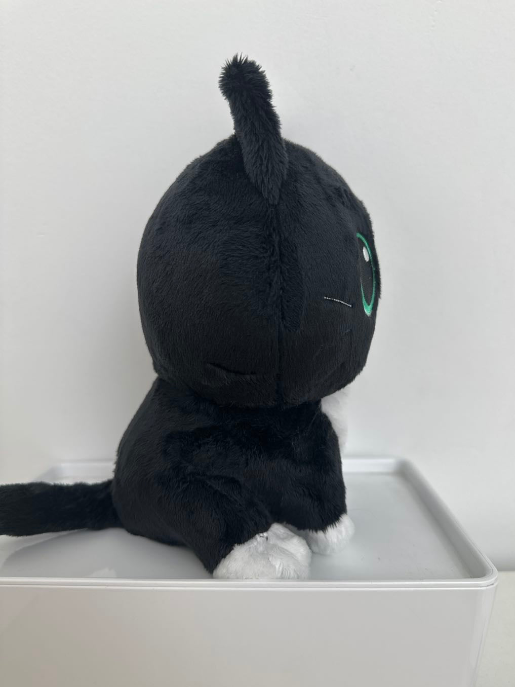 Smudge Plush!