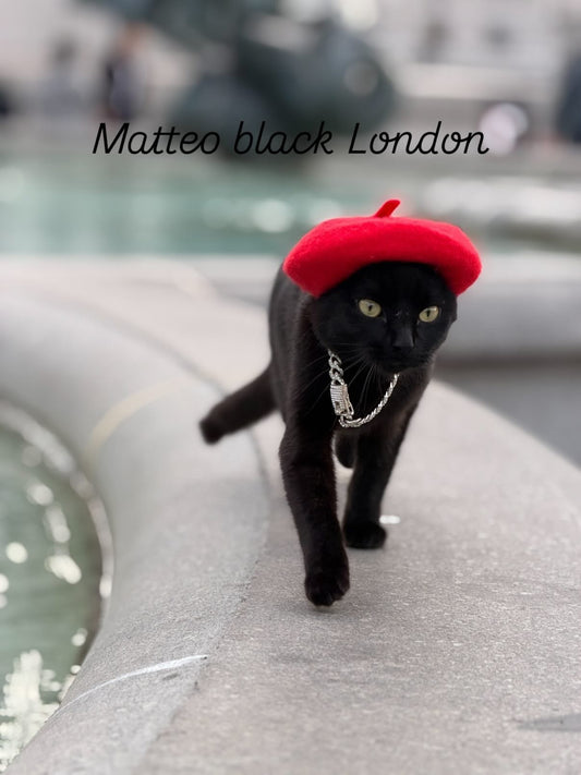 Matteo Plushy!