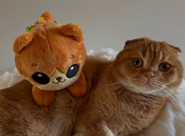 Cleo X Jack BUNDLE plushy!