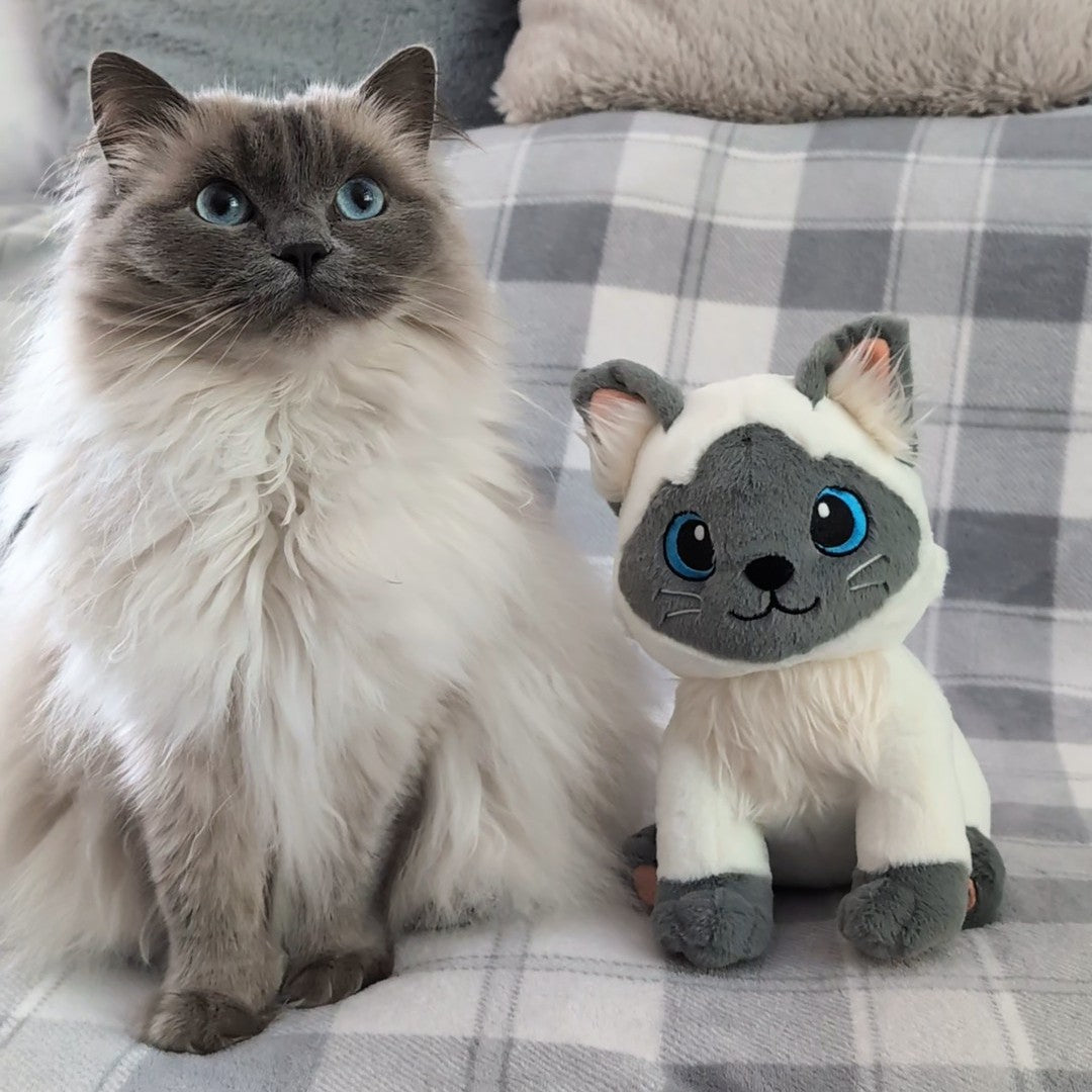 Evie Plushy!