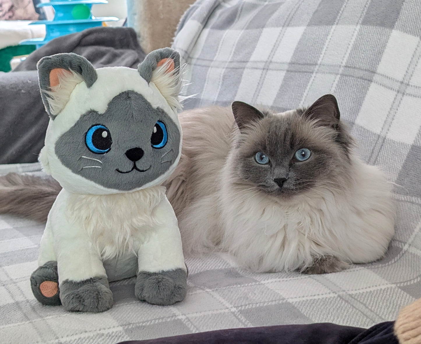 Evie Plushy!